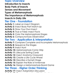 Insect Anatomy And Metamorphosis Worksheet Activity Booklet
