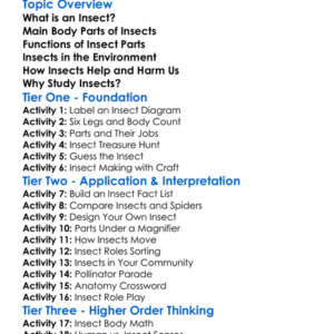 Insect Anatomy And Roles Worksheet Activity Booklet