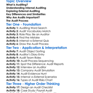 Internal And External Auditing Worksheet Activity Booklet