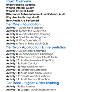 Internal Audit And External Audit Worksheet Activity Booklet