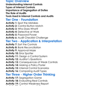 Internal Controls And Audit Basics Worksheet Activity Booklet