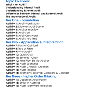 Internal Vs External Audit Worksheet Activity Booklet