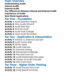 Internal Vs External Audits Worksheet Activity Booklet