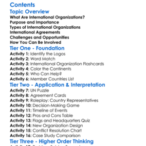 International Organizations And Agreements Worksheet Activity Booklet