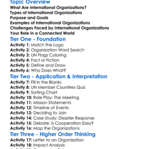 International Organizations Worksheet Activity Booklet