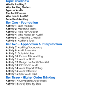 Introduction To Auditing Worksheet Activity Booklet