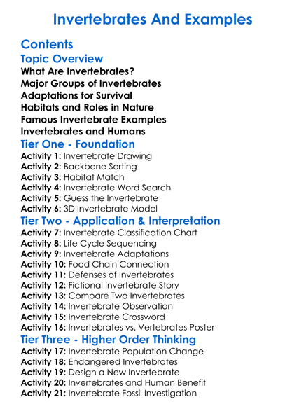 Invertebrates And Examples Worksheet Activity Booklet