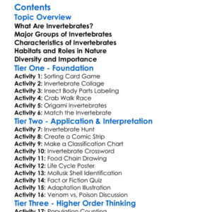 Invertebrates Classification And Examples Worksheet Activity Booklet