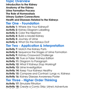 Kidney Structure And Urine Formation Worksheet Activity Booklet