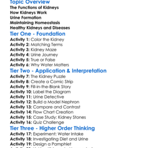 Kidneys And Urine Formation Worksheet Activity Booklet