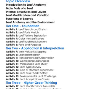 Leaf Anatomy Worksheet Activity Booklet