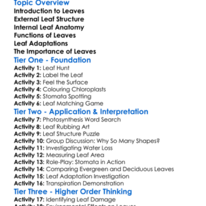 Leaf Structure And Function Worksheet Activity Booklet