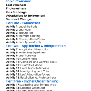 Leaves Structure And Adaptations Worksheet Activity Booklet