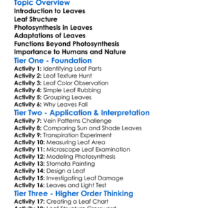 Leaves Structure And Function Worksheet Activity Booklet