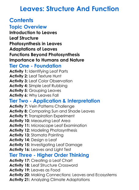 Leaves Structure And Function Worksheet Activity Booklet