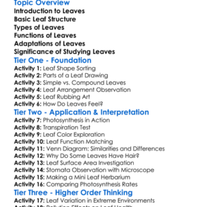 Leaves Types And Functions Worksheet Activity Booklet