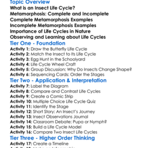Life Cycles Of Insects Worksheet Activity Booklet