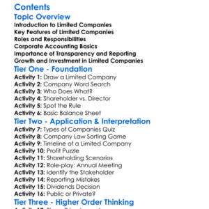 Limited Companies And Corporate Accounting Worksheet Activity Booklet