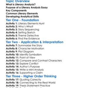 Literary Analysis Essays Worksheet Activity Booklet
