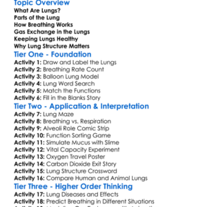 Lung Structure And Function Worksheet Activity Booklet