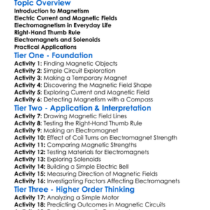 Magnetic Effects Of Electric Current Worksheet Activity Booklet