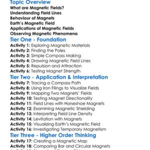 Magnetic Field And Field Lines Worksheet Activity Booklet