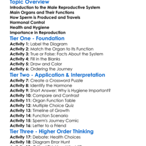 Male Reproductive System Worksheet Activity Booklet