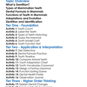 Mammalian Dentition Worksheet Activity Booklet