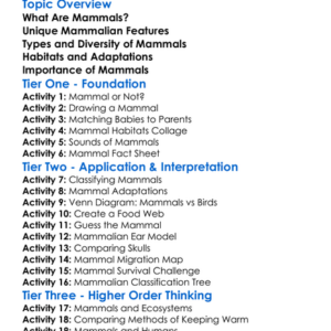Mammals And Their Characteristics Worksheet Activity Booklet