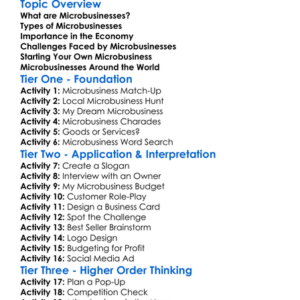 Microbusinesses Worksheet Activity Booklet