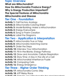 Mitochondria And Energy Production Worksheet Activity Booklet