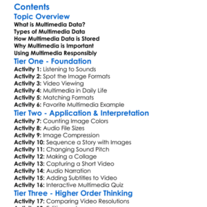 Multimedia Data Audio Image Video Worksheet Activity Booklet