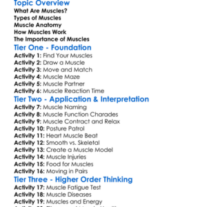 Muscle Structure And Function Worksheet Activity Booklet
