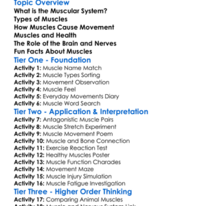 Muscular System And Movement Worksheet Activity Booklet