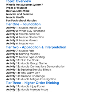 Muscular System Basics Worksheet Activity Booklet