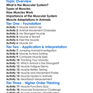 Muscular System In Animals Worksheet Activity Booklet