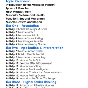 Muscular System In The Body Worksheet Activity Booklet