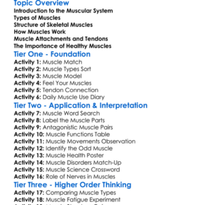 Muscular System Structure Worksheet Activity Booklet