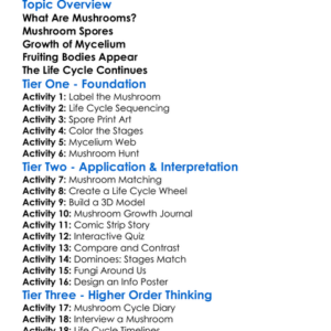 Mushroom Life Cycle Worksheet Activity Booklet