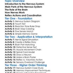 Nervous System And Brain Function Worksheet Activity Booklet