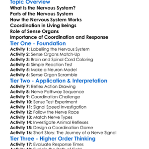 Nervous System And Coordination Worksheet Activity Booklet