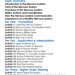Nervous System And Its Functions Worksheet Activity Booklet