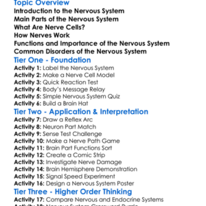 Nervous System And Nerve Cells Worksheet Activity Booklet