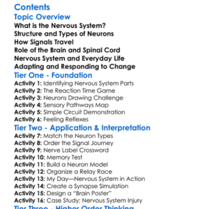 Nervous System And Neuron Function Worksheet Activity Booklet