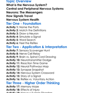 Nervous System And Neurons Worksheet Activity Booklet