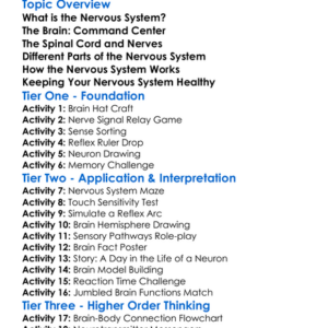 Nervous System And The Brain Worksheet Activity Booklet