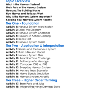 Nervous System Basics Worksheet Activity Booklet