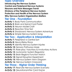 Nervous System Organization Worksheet Activity Booklet