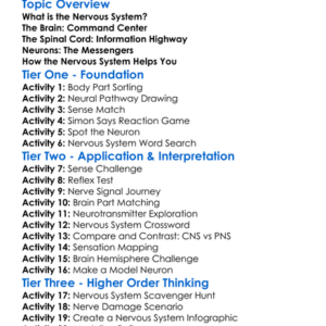 Nervous System Overview Worksheet Activity Booklet