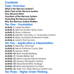Nervous System Structure And Function Worksheet Activity Booklet